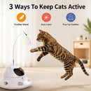 3-in-1 Automatic Laser Cat Toy with Feather Chase & Whack-a-Mole Game