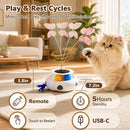 3-in-1 Interactive Cat Toy with Remote Control, Butterfly, Feathers & Ball Track