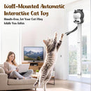 2-in-1 Automatic Cat Chase & Bounce Toy – Electric Interactive Indoor Toy