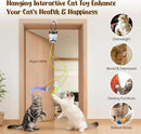 2-in-1 Automatic Cat Chase & Bounce Toy – Electric Interactive Indoor Toy