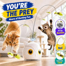 Automatic Flying Bird Cat Toy with 360° Motion & Two Speed Modes