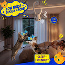Interactive Doorway Cat Toy – Clip-On Automatic Bird & Mouse Toy for Indoor Cats